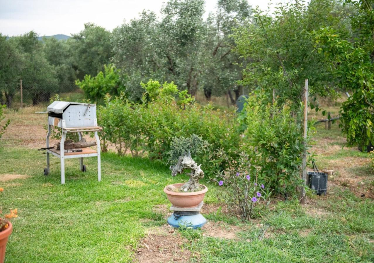 Apartamento Agrikia Tis Vasilikis Ormília Exterior foto
