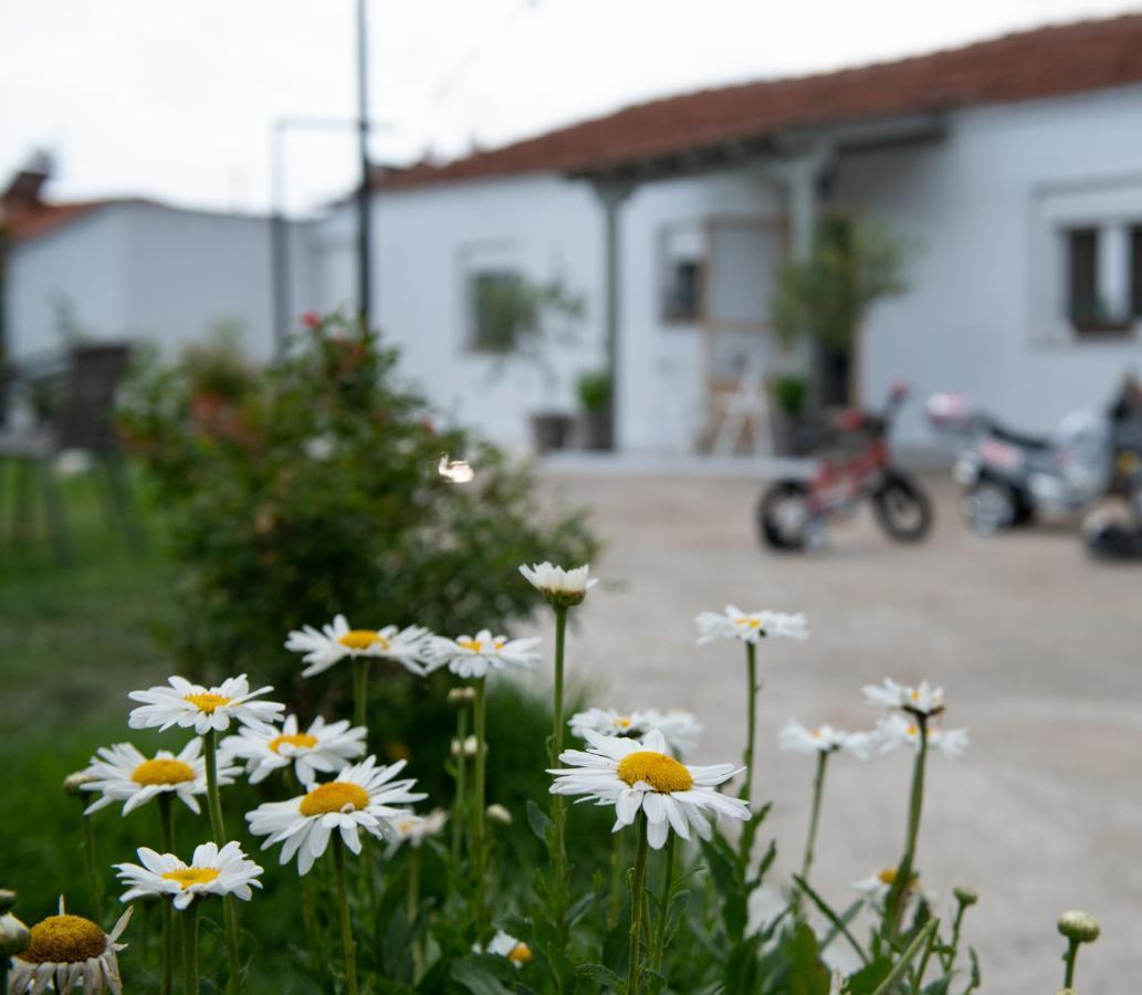 Apartamento Agrikia Tis Vasilikis Ormília Exterior foto