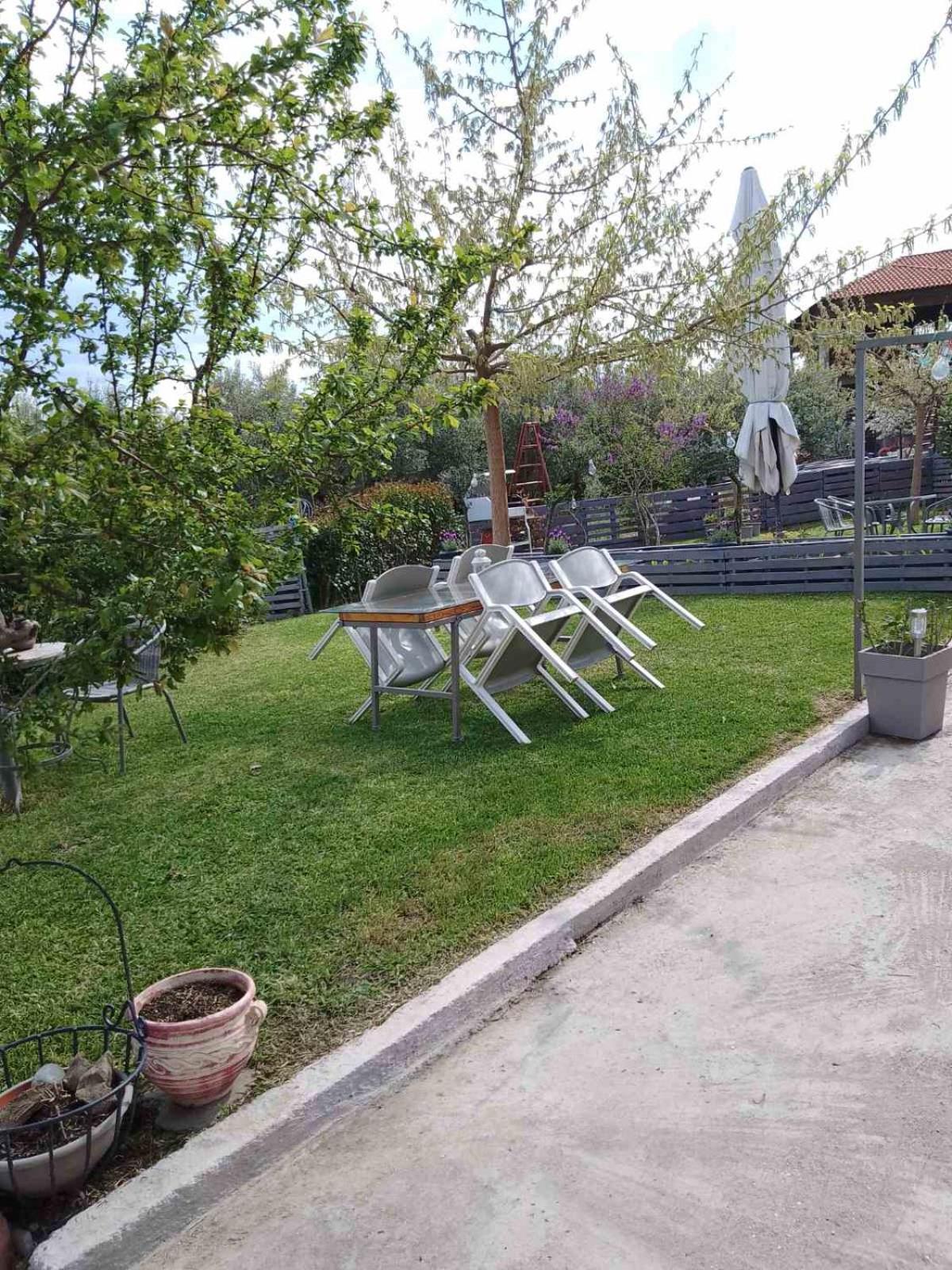 Apartamento Agrikia Tis Vasilikis Ormília Exterior foto