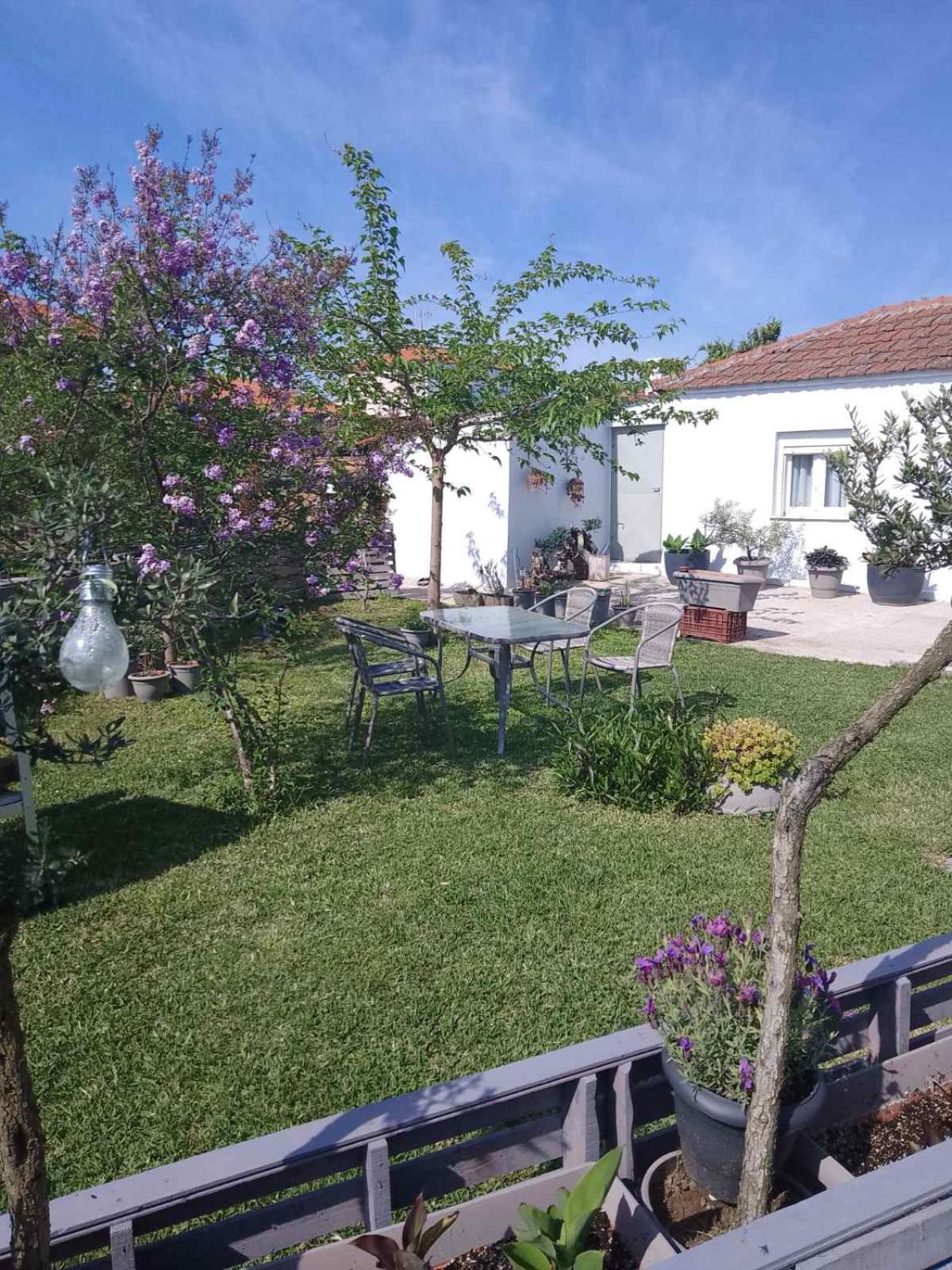 Apartamento Agrikia Tis Vasilikis Ormília Exterior foto